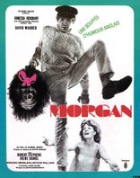 MORGAN - A SUITABLE CASE FOR TREATMENT