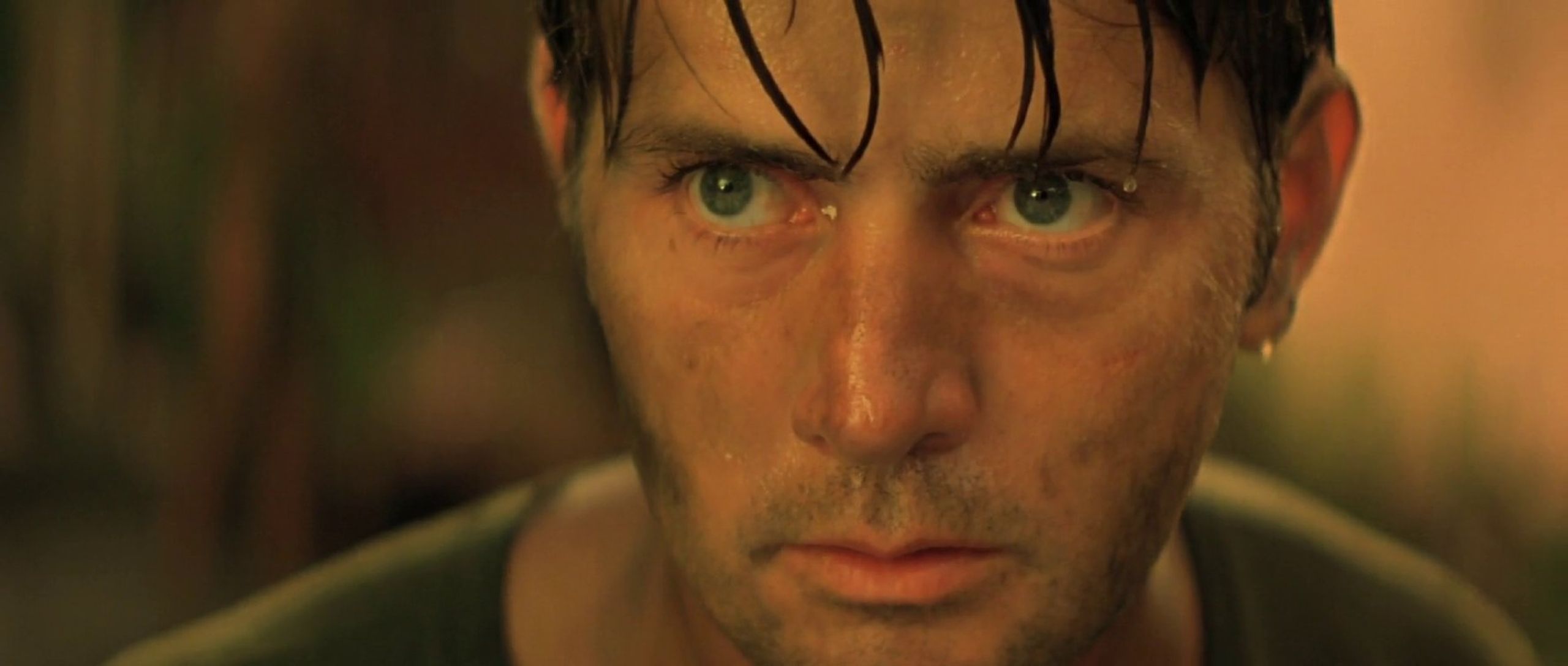 harrison ford apocalypse now