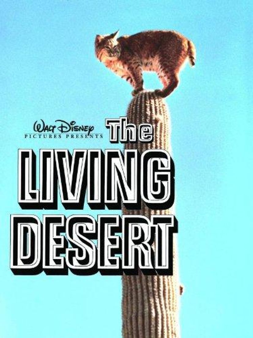 The Living Desert Festival De Cannes