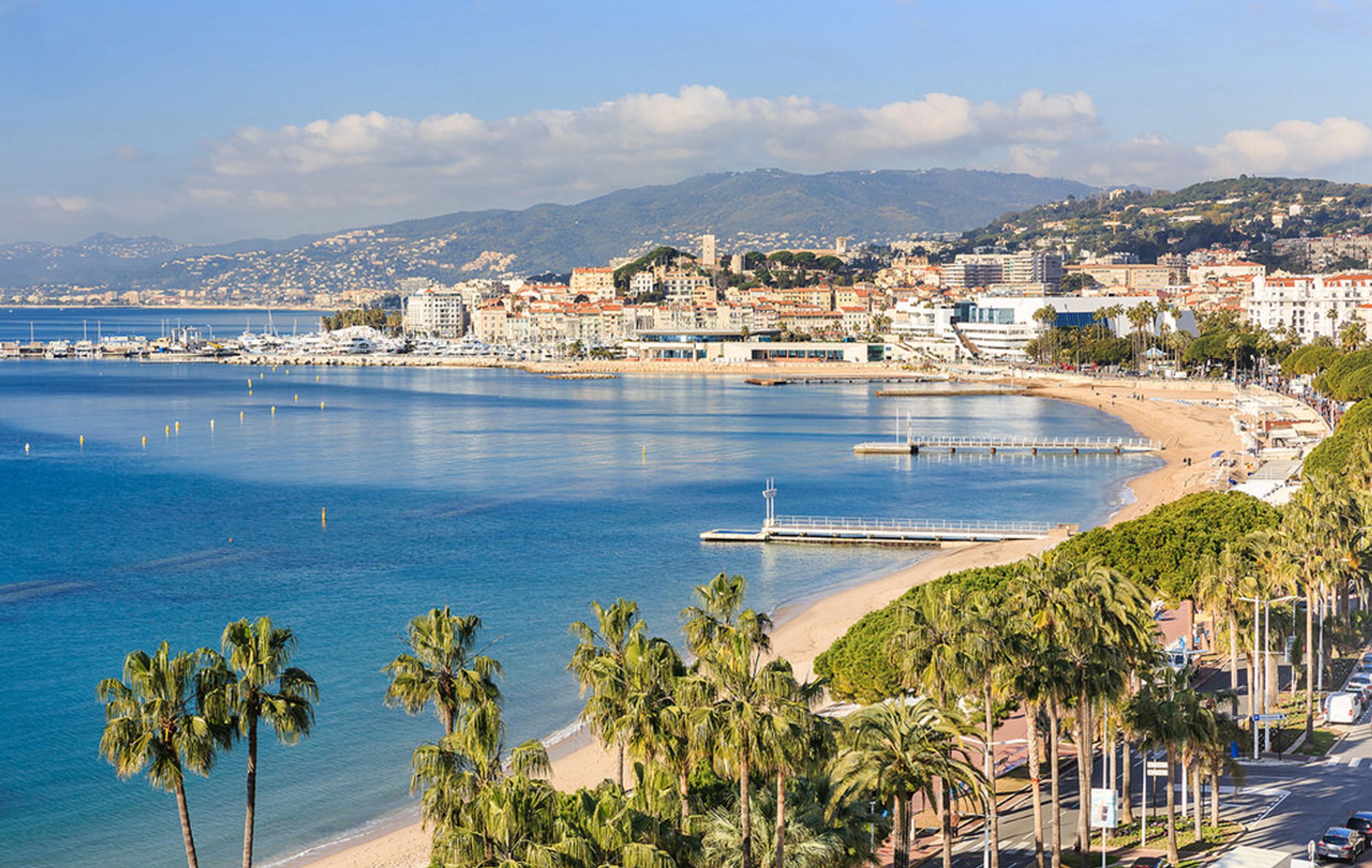 The Festival De Cannes Commits For The Environment Festival De Cannes