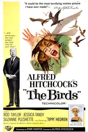 LES OISEAUX