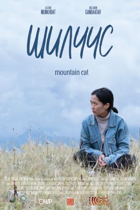 MOUNTAIN CAT