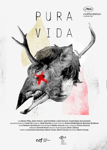 PURA VIDA