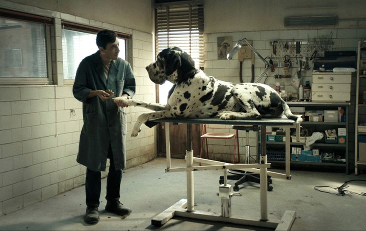 Film still of Dogman